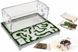Kit: Formicarium Green House II  with ants Messor barbarus, red cover to be chosen