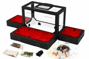 Ant-Keeping Set 11 BlackAnt with Ants – Messor barbarus