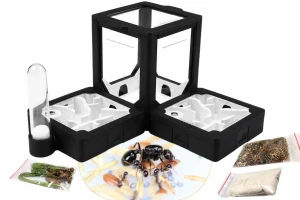 Ant-Keeping Set 5 BlackAnt with Ants – Messor barbarus