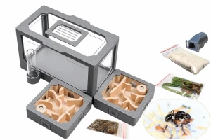 Modular AntLove – Set No. 6 with Harvester Ants