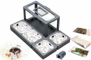  Modular AntLove – Kit No. 11 with Ants