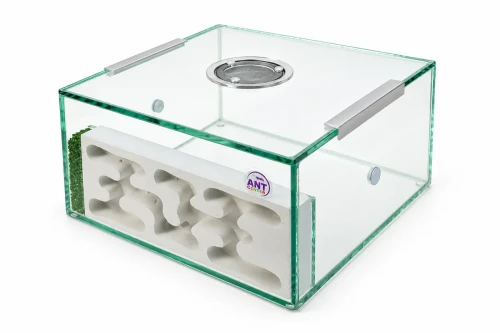 Formikarium Lubi Next Step- widok z boku.webp
