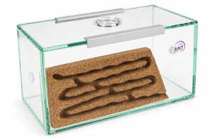 Cork formicarium "Brand"