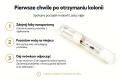 Pierwsze chwile po otrzymaniu mrówek