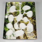 Nest FOREST 17*22 (colony of Messor Barbarus to choose)