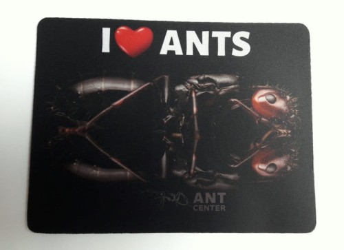 Podkładka pod mysz / formikarium z napisem "I love ants "