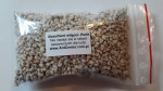 Perlite- granulate for formicarium white-grey- 10 ml
