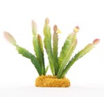 Artificial plant - blooming cactus