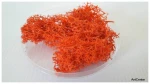 Tufts of moss - orange color