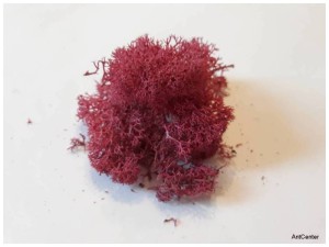 Tuft of moss - pink color