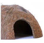 Hideout - a half of natural coconut