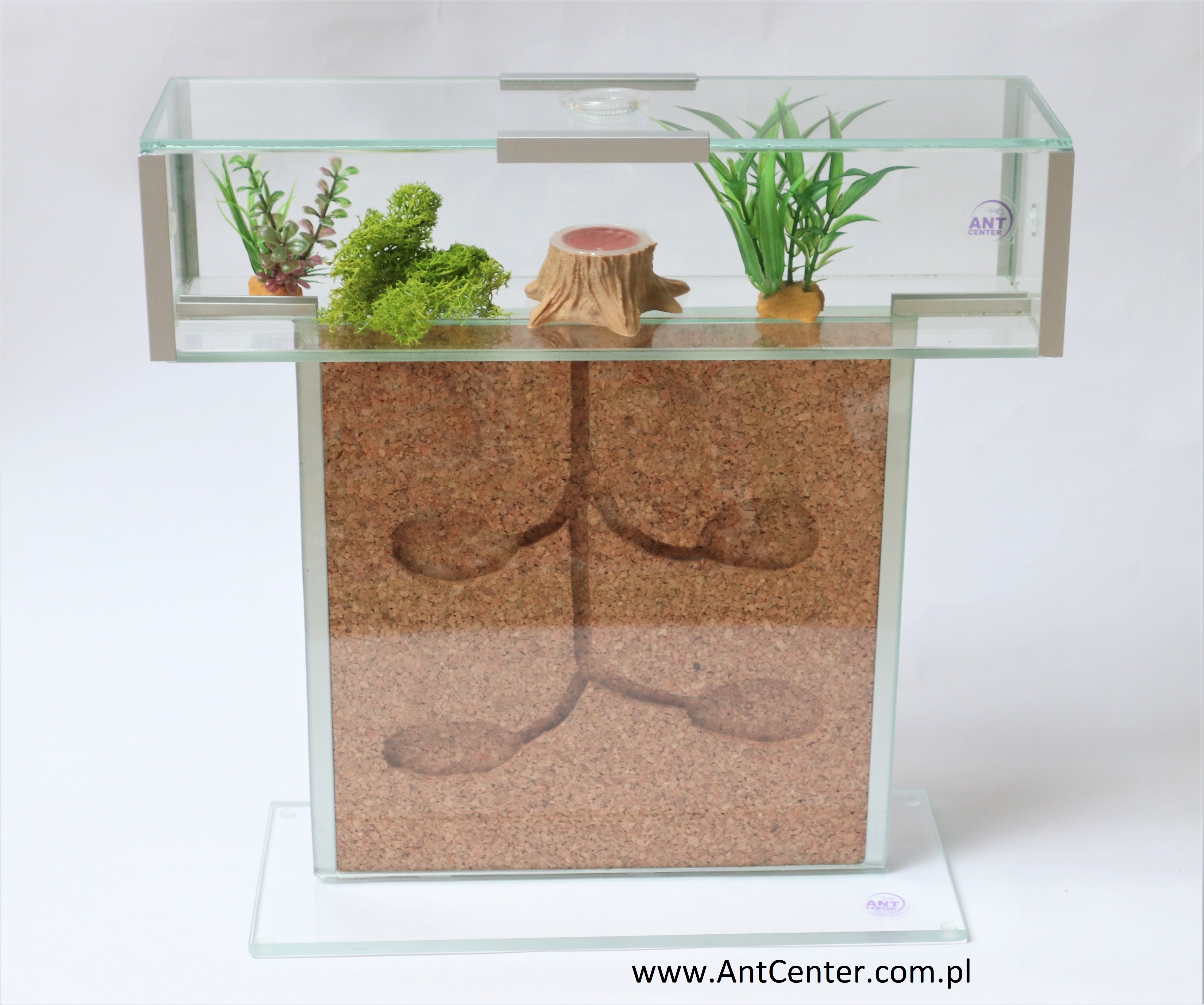 Formicarium Tower Big