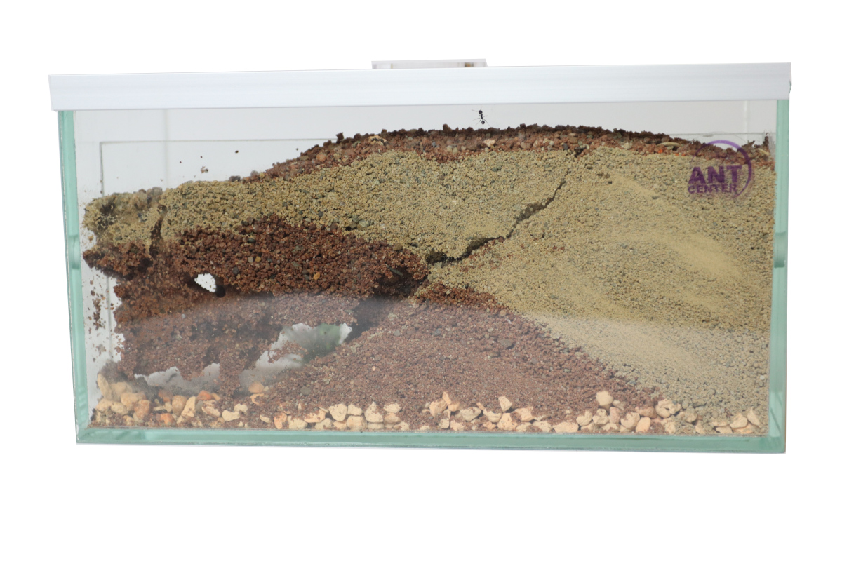 Soil ant farm Brand