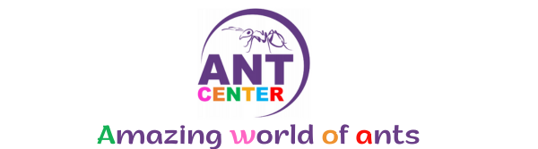 AntCenter