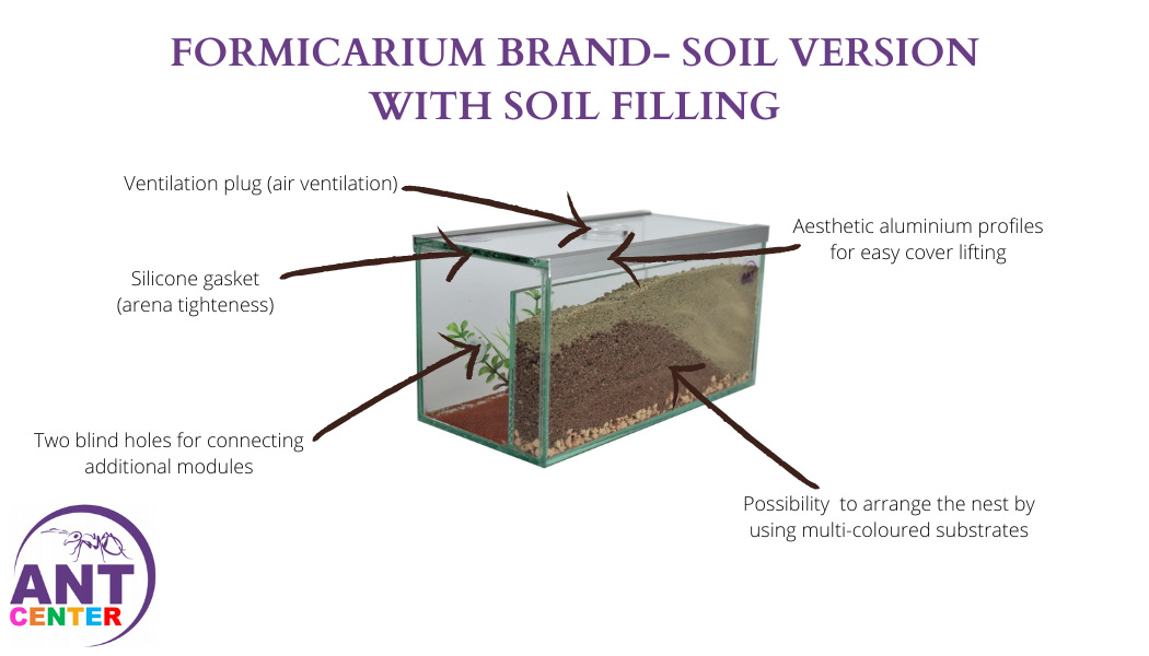 Soil formicarium for ants
