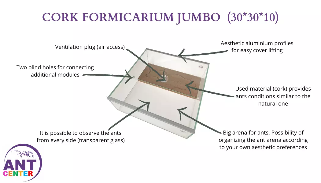Big terrarium for ants Jumbo
