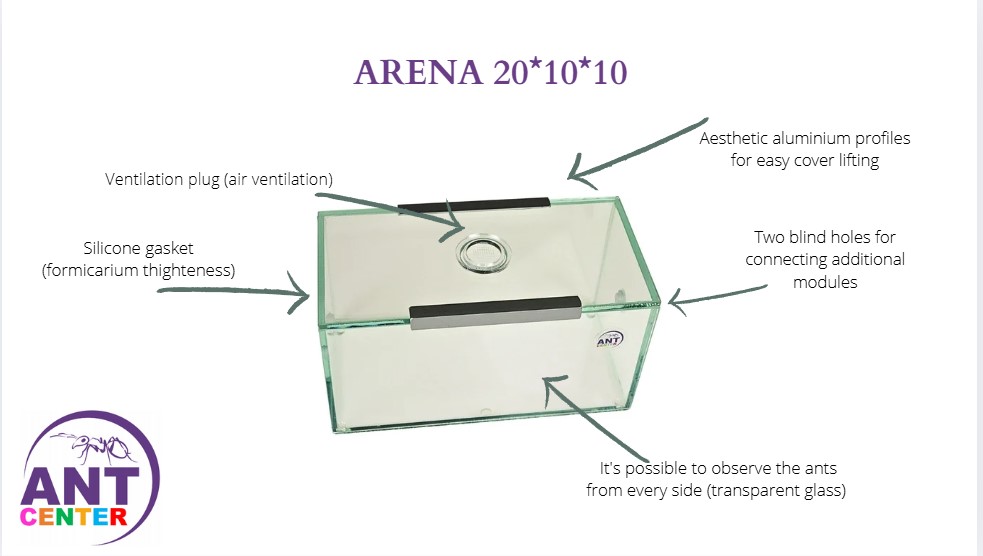 Arena for ants