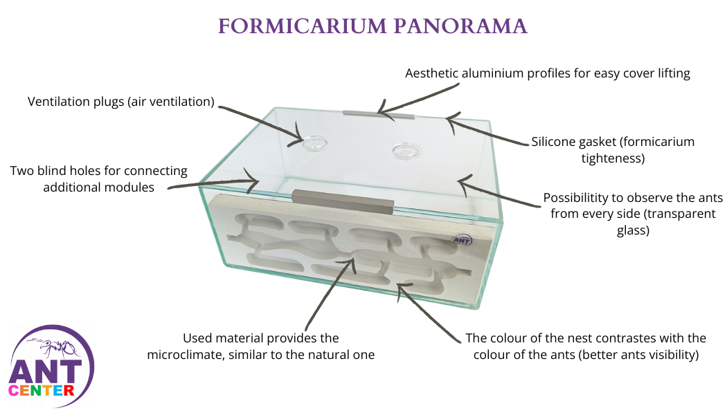 Formicarium Panorama