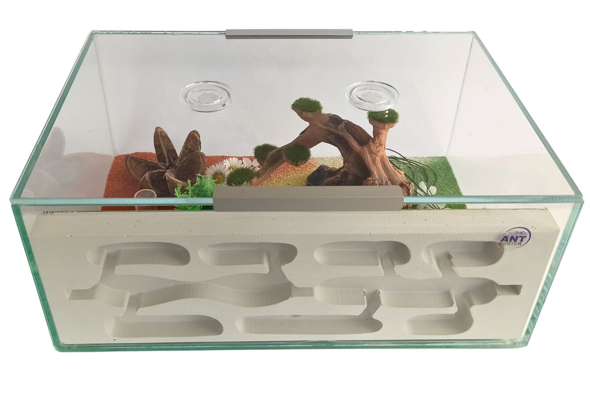 Formikarium Panorama