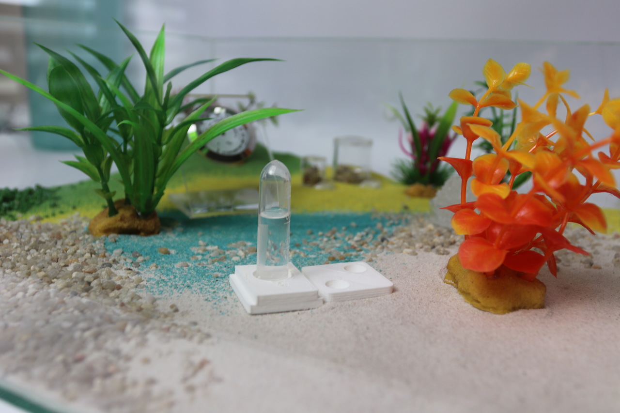 feeding dish for ants