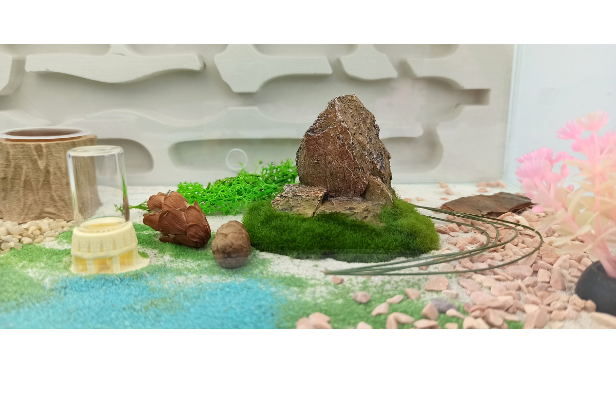 Formikarium Panorama wersja reverse