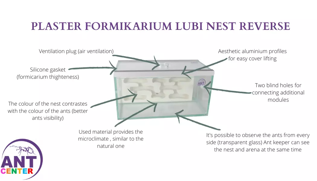 Ant farm Lubi nest reverse