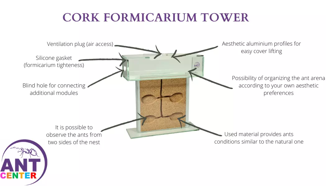 T- SHAPED ANT FORMICARIUM
