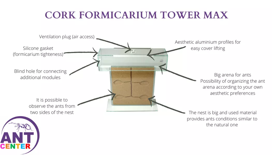 Ant farm Tower Max
