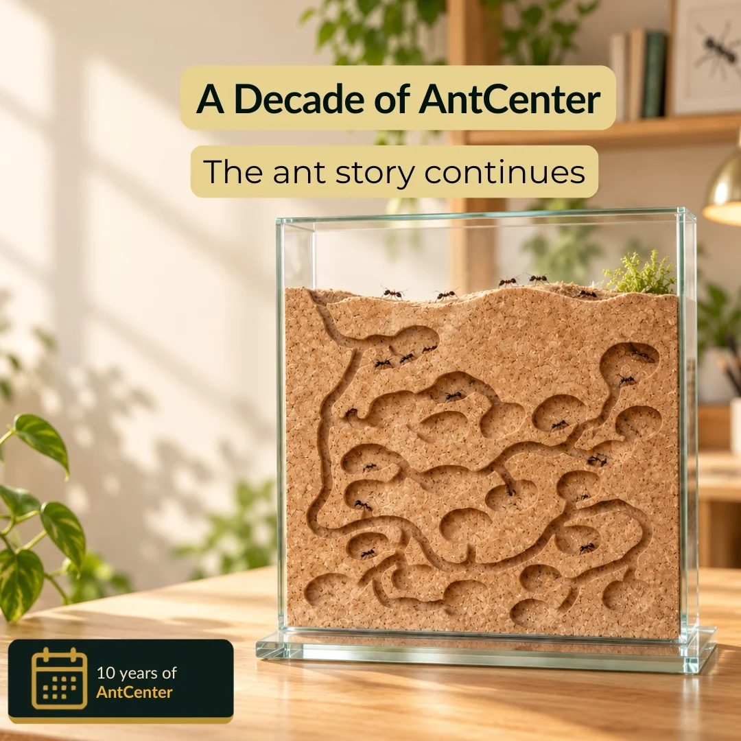 Ten Years of AntCenter: How Ant Keeping Has Changed